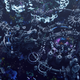 Illustration for article titled Deep Sea Wonderland Built In iMinecraft/i Looks Incredible